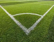 张彬彬轻松,辟谣,单身过光棍,WEpoker俱乐部官网,WEpoker官网app下载,WEpoker官网网页版,WEpoker官网h5平台