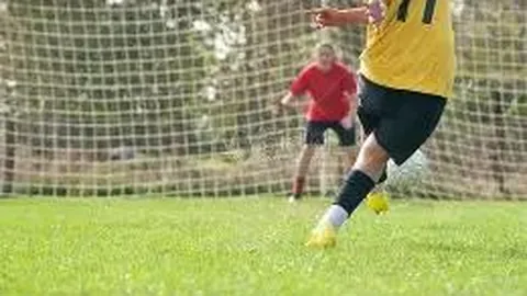 评测：Wisdomelite Pro 应用在Google Play上的标签展示