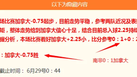 免费抢票2026青岛海牛主场赛事，不容错过的精彩对决